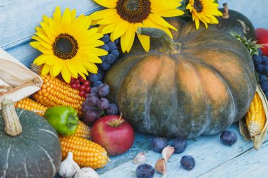 Kabak, ayçiçeği ve farklı sebze, ahşap arka plan