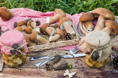 Vejetaryen kümesi: sofra, çiğ beyaz mantar, çam kozalakları ahşap masa üzerinde kuru süslemeleri ile