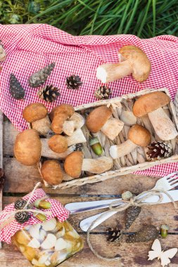Vejetaryen kümesi: sofra, çiğ beyaz mantar, çam kozalakları ahşap masa üzerinde kuru süslemeleri ile