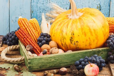 Şükran günü: kabak ve içinde farklı olgun sebze