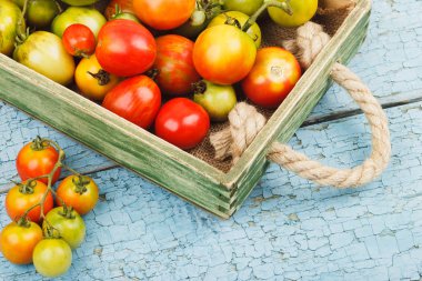 Ahşap tepside olgun domatesler, açık mavi ahşap arka plan