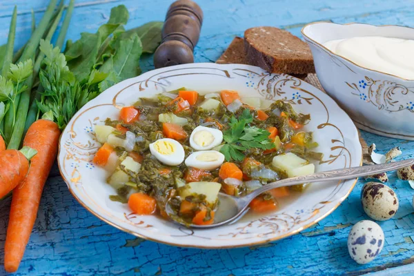 Prato Com Sopa Azeda Pão Legumes Diferentes Backgroun Madeira Vista — Fotografia de Stock