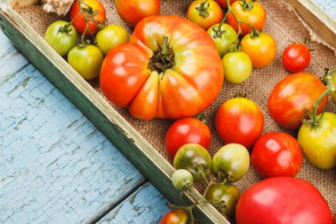 Ahşap tepside olgun domates seti, mavi ahşap arka plan