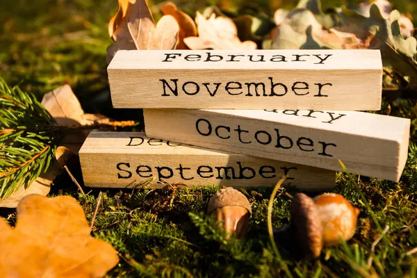 Decoratieve houten kalender met datum van Thanksgiving vakantie, herfst decoraties — Stockfoto