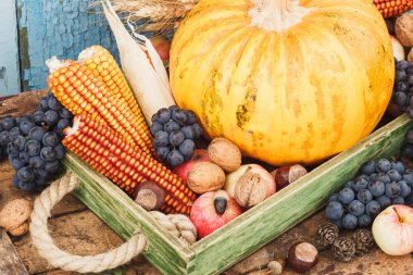 Şükran günü: farklı sonbahar sebze tepsisi