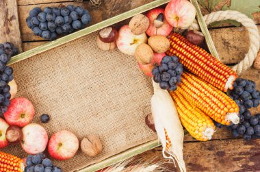 Şükran günü: farklı sebze tepsisi