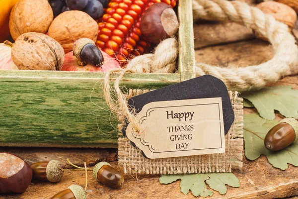Ημέρα των Ευχαριστιών: δίσκος από διάφορα λαχανικά — Φωτογραφία Αρχείου