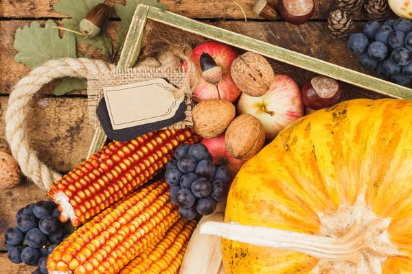 Thanksgiving day: lade van verschillende herfst groenten — Stockfoto