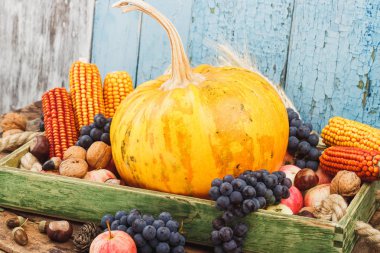 Şükran günü: farklı sonbahar sebze tepsisi