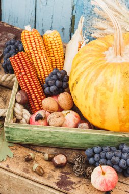 Şükran günü: farklı sonbahar sebze tepsisi