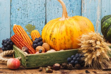 Şükran günü: farklı sonbahar sebze tepsisi