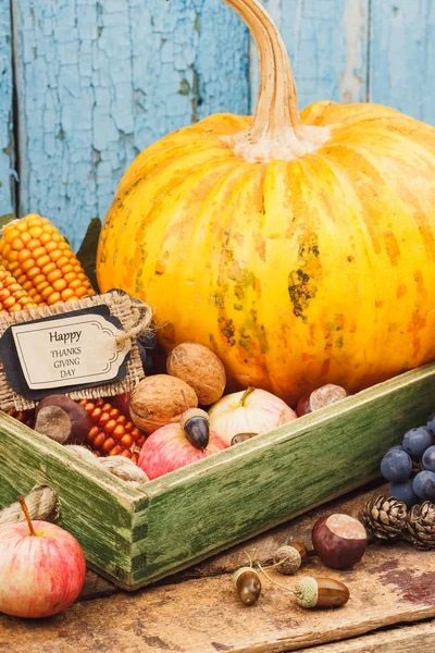 Día de Acción de Gracias: Bandeja de diferentes verduras de otoño — Foto de Stock