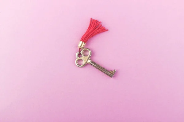 Gold metal key on the light pink base, top view