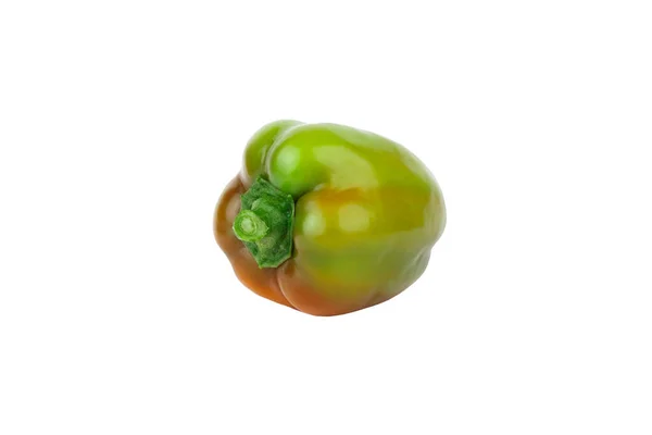 Gekleurde Rauwe Paprika Witte Achtergrond — Stockfoto