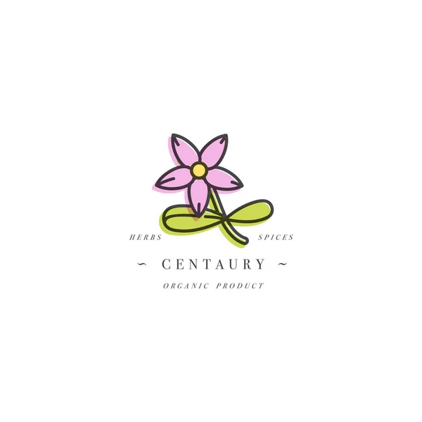 Modèle de conception vectorielle logo et emblème herbe saine- centaury. Logo dans un style linéaire tendance isolé sur fond blanc . — Image vectorielle