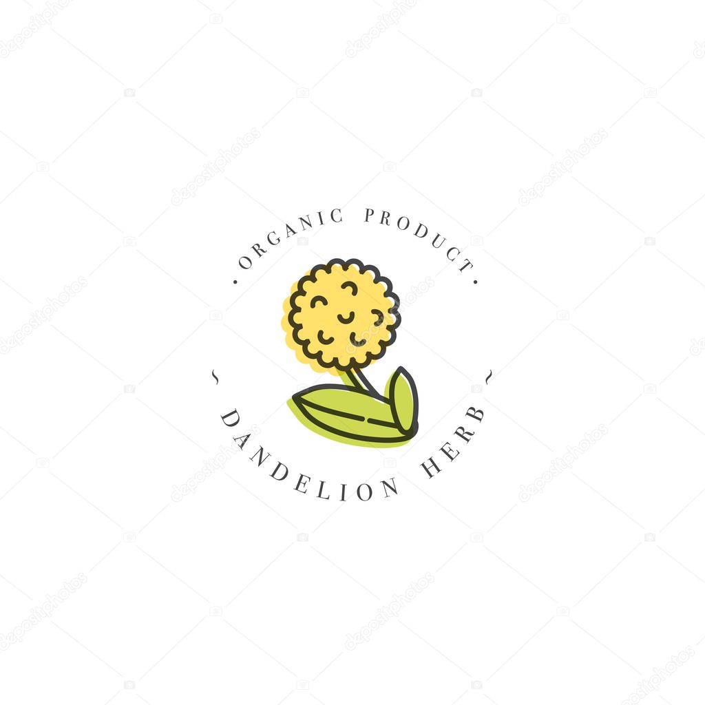 Vector colorful design template logo and emblem healthy herb- dandelion. Logo in trendy linear style isolated on white background