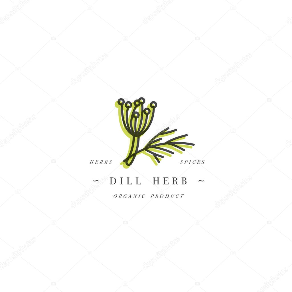 Vector colorful design template logo and emblem healthy herb- dill. Logo in trendy linear style isolated on white background.