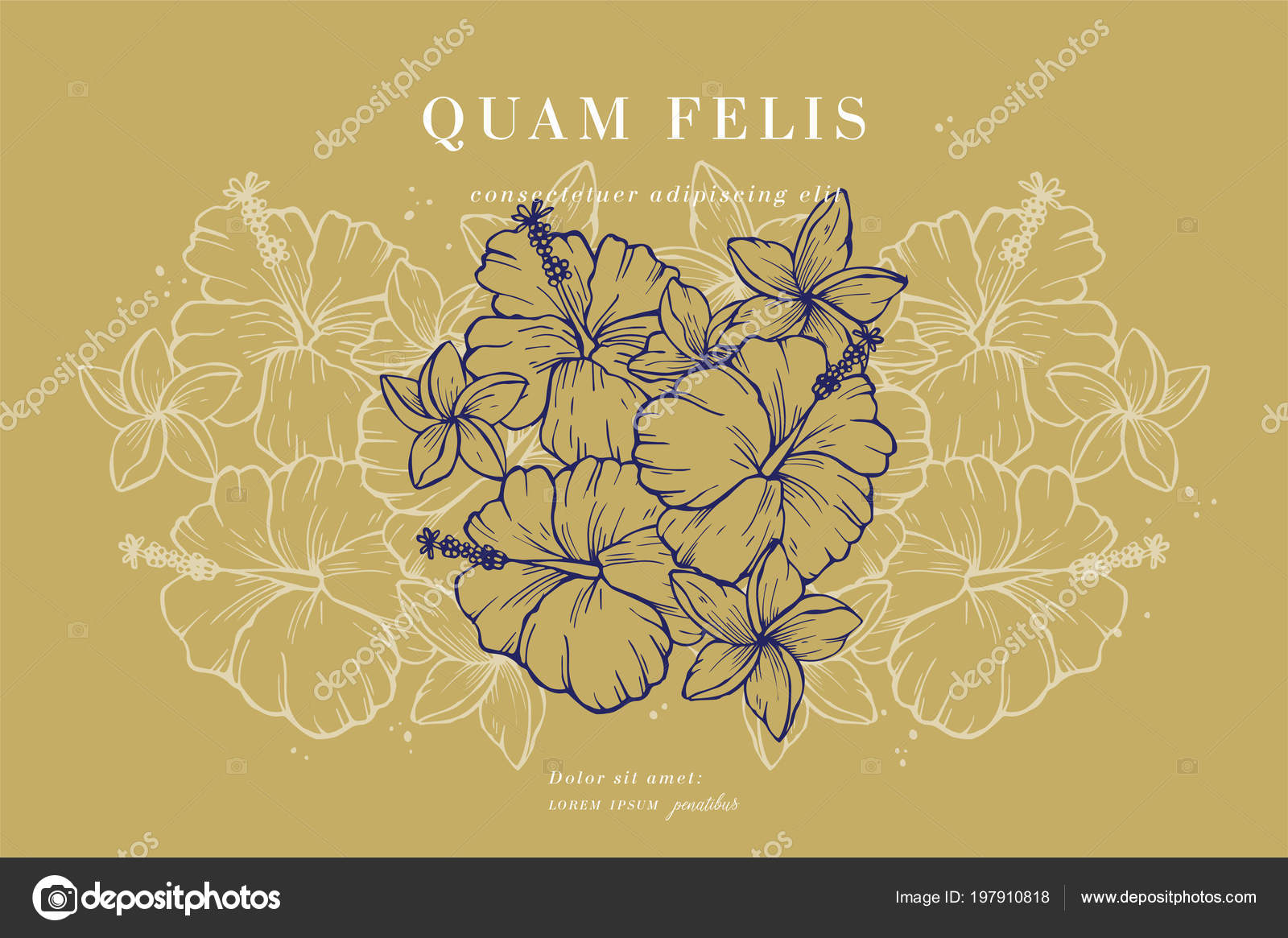 Vintage card with hibiscus and plumeria flowers. Floral wreath. Flower  frame for flowershop with label designs. Summer floral greeting card.  Flowers background for cosmetics packaging. Stock Vector by ©oxygen_8  197910818, image size:1600x1165