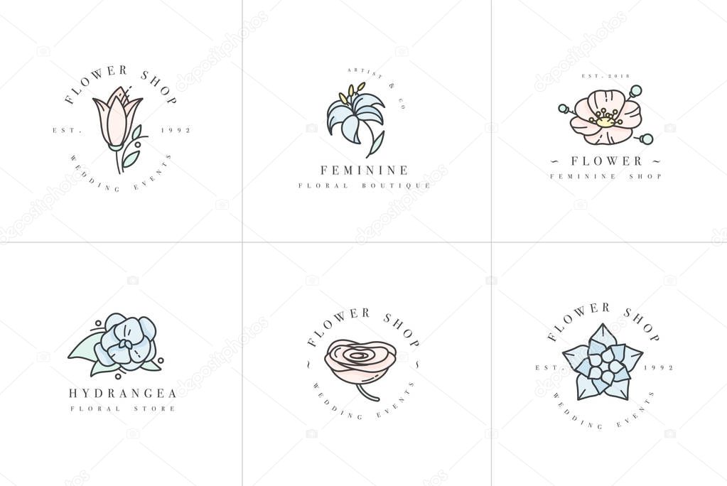 Vector feminine signs and logos, templates set. Floral Illustration-hydrangea, ranunculus, anemone and lily. Premium quality colorful emblems