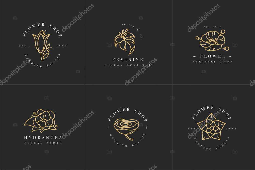 Vector feminine signs and logos, templates set. Floral Illustration-hydrangea, ranunculus, anemone and lily. Premium golden quality emblems