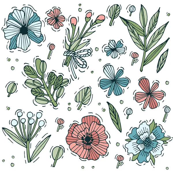 Conjunto de hierbas y flores dibujadas a mano de color. Flores de estilo grabado. Ilustración vectorial . — Vector de stock