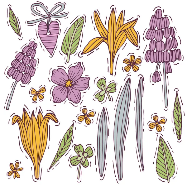 Dibujado a mano de color hierba y flor conjunto de jacinto de ratón y cocodrilo con violeta. Flores de estilo grabado. Ilustración vectorial . — Archivo Imágenes Vectoriales