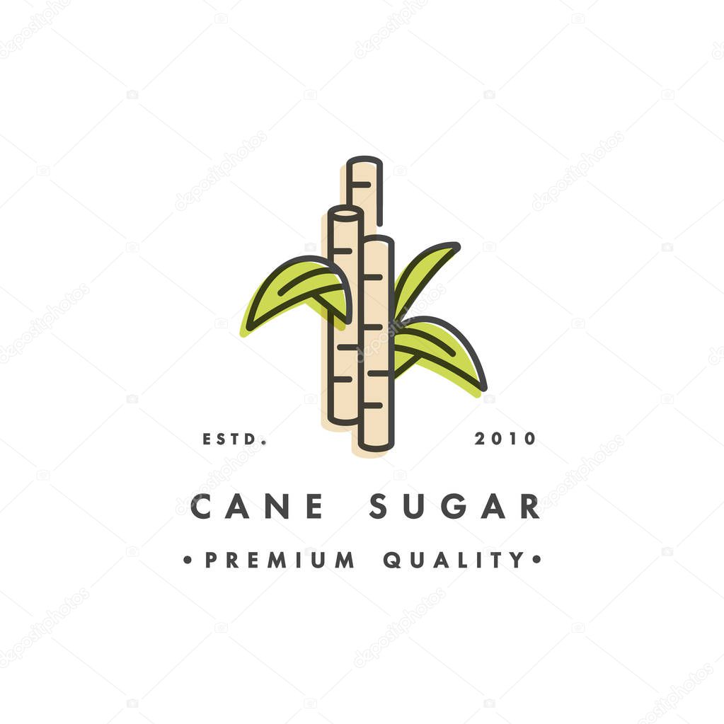 Packaging design template logo and emblem - sugar production - cane sugar. Logo in trendy linear style