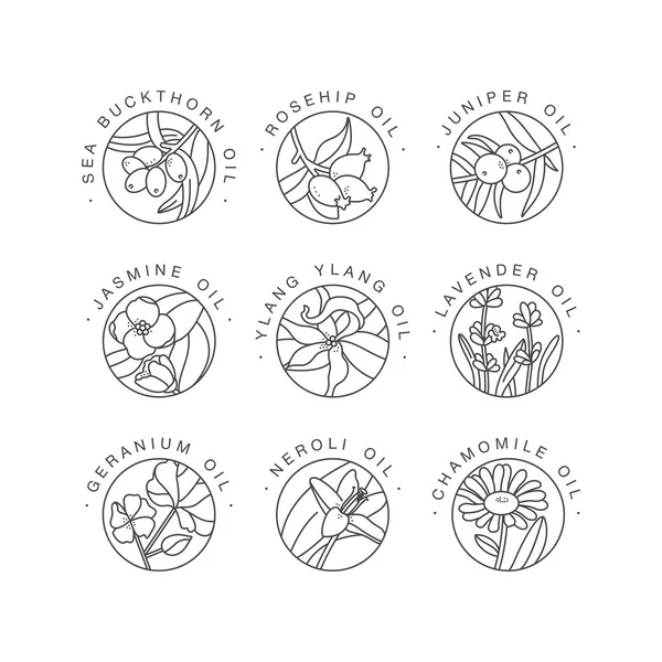 Vector set design templates and emblems - healthy and cosmetics oils. Different natural, organic oils. Logos in trendy linear style. — Stock Illustration Vector set design templates and emblems - healthy and cosmetics oils. Different natural, organic oils. Logos in trendy linear style. Vector Graphics