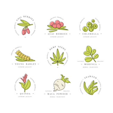 Superfood 'un vektör simgeleri. Böğürtlen, toz, sebze veya meyve ve tohum. Sağlık ve diyet için organik süper yiyecekler. Detoks ve kilo kaybı takviyeleri.