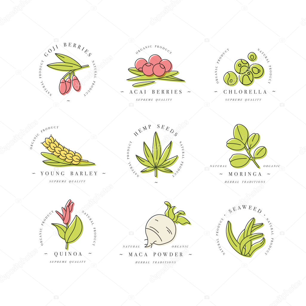Superfoods line vector icons. Berries, powder, vegetables or fruits and seeds. Organic superfoods for health and diet. Detox and weightloss supplements