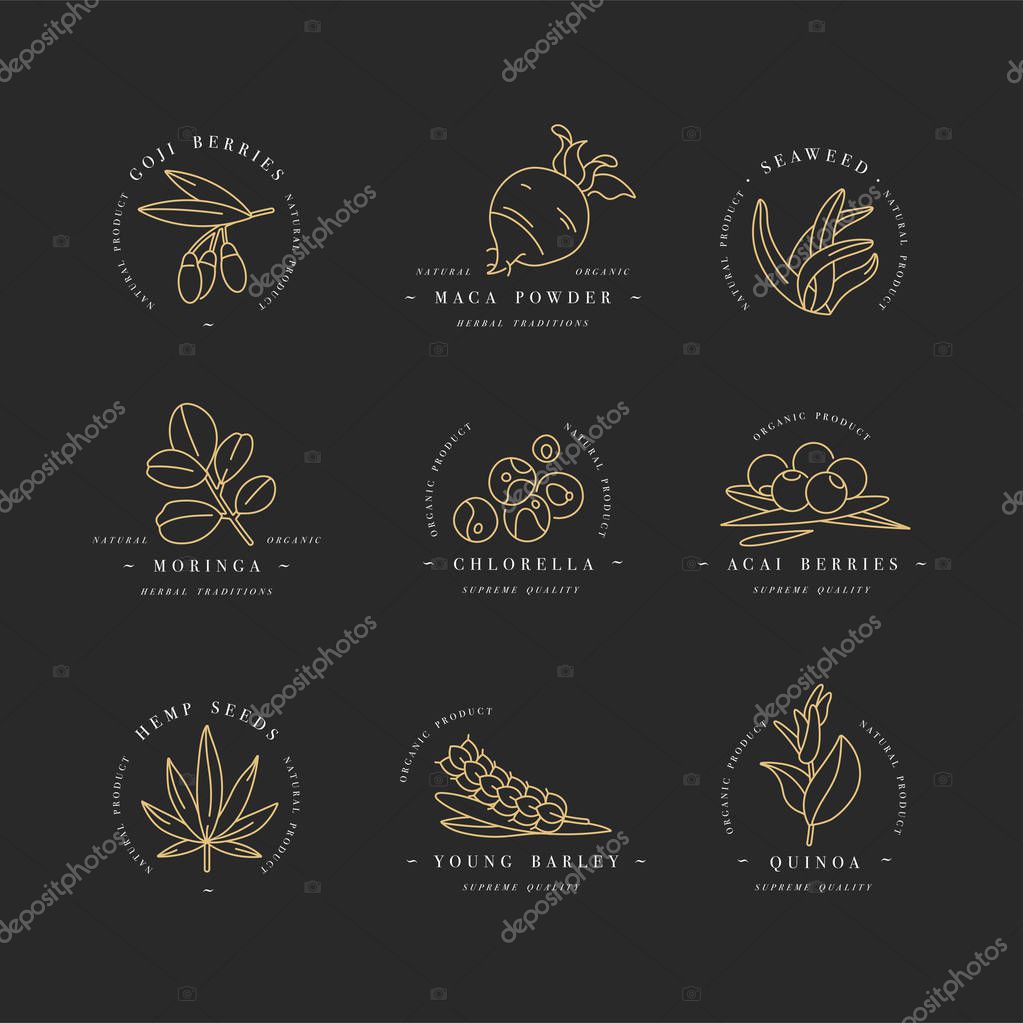 Superfoods line vector icons. Berries, powder, vegetables or fruits and seeds. Organic superfoods for health and diet. Detox and weightloss supplements