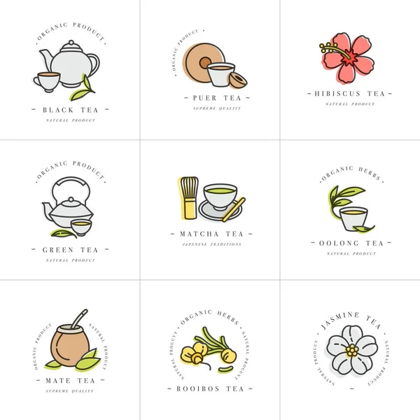 Vektorové set design barevné šablony logo a emblémy - organické byliny a čaje. Jiná ikona čaje. Loga v módním lineárním stylu izolovaná na bílém pozadí. — Stockový vektor