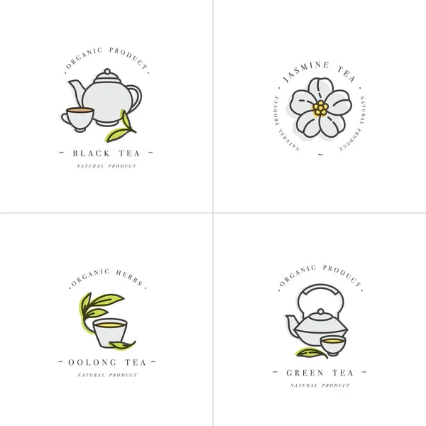 Vektorové set design barevné šablony logo a emblémy - organické byliny a čaje. Různé čajové ikony- jasmín, černá, zelená a oolong. Loga v módním lineárním stylu izolovaná na bílém pozadí. — Stockový vektor