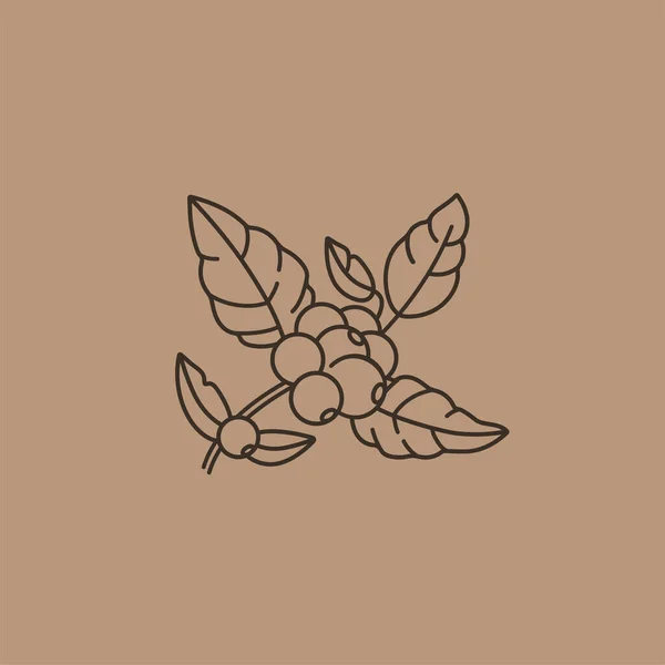 Vector line icon of coffee tree branch. Coffee plant linear logo. — 스톡 벡터