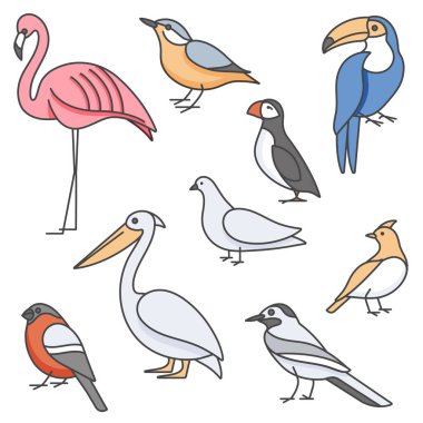 Güvercin, tımarhane, flamingo, tukan ve diğerleri gibi renkli kuşların vektör çizimi. Beyazda izole edilmiş.