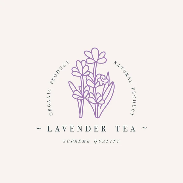 Logo ou emblème vectoriel coloré templat - thé à la lavande aux herbes bio. Logos dans un style linéaire tendance isolé sur fond blanc . — Image vectorielle