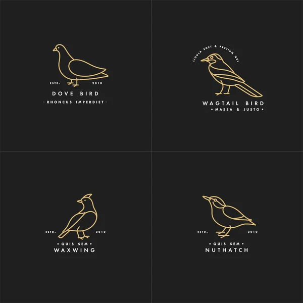 Altın renkli kuşların vektör çizimi - güvercin, tımarhane, balmumu, kuyruk sallama, moda doğrusal tarzda. Logo veya etiket simgesi. — Stok Vektör
