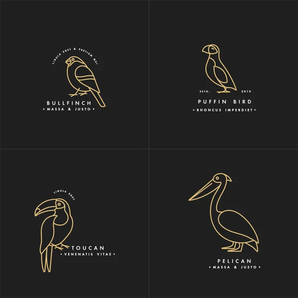 Illustration vectorielle en couleur dorée ensemble d'oiseaux - macareux, pélican, chardonneret, toucan dans un style linéaire tendance. Logo ou icône d'étiquette . — Image vectorielle