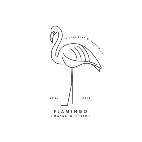 Vektorové lineární logo design flamingo pták na bílém pozadí. Flamingo emblémy nebo odznaky. — Stockový vektor