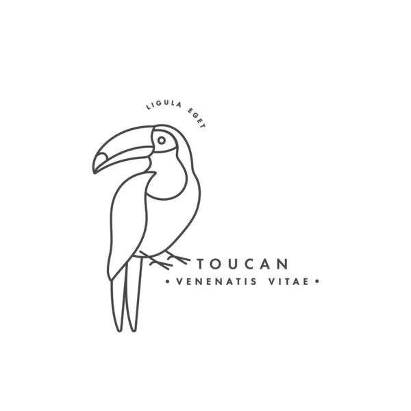 Vektorové lineární logo design toucan pták na bílém pozadí. Dotykové symboly nebo odznaky. — Stockový vektor