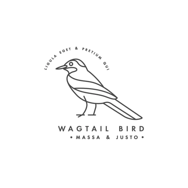 Vektorové lineární logo design wagtail pták na bílém pozadí. Wagtail barevné emblémy nebo odznaky. — Stockový vektor