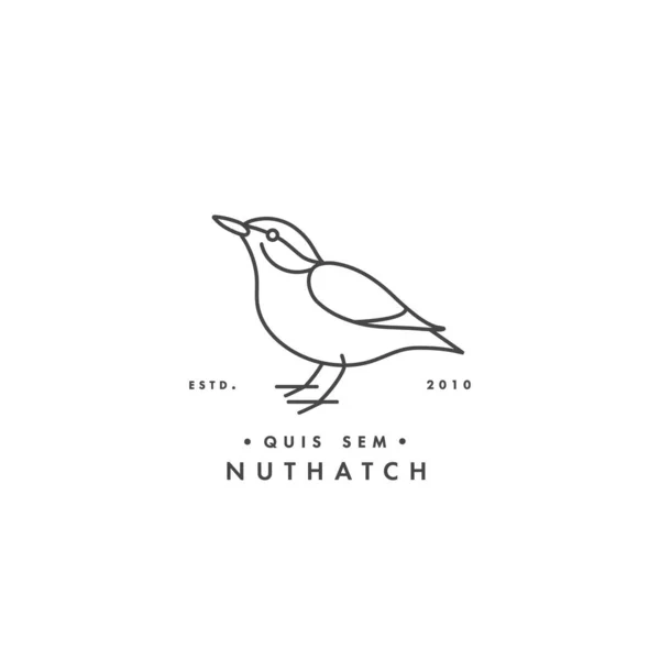 Vektorový ilustrační pták v módním lineárním stylu. Nuthatch logo izolované na bílém pozadí. — Stockový vektor