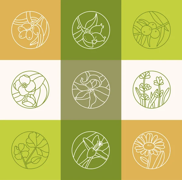 Vector set design templates and emblems - healthy and cosmetics oils. Different natural, organic oils. Logos in trendy linear style. — Stock Illustration Vector set design templates and emblems - healthy and cosmetics oils. Different natural, organic oils. Logos in trendy linear style. Royalty Free Stock Vectors