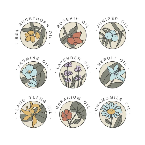 Vector set design templates and emblems - healthy and cosmetics oils. Different natural, organic oils. Logos in trendy linear style. — Stock Illustration Vector set design templates and emblems - healthy and cosmetics oils. Different natural, organic oils. Logos in trendy linear style. Stock Illustration