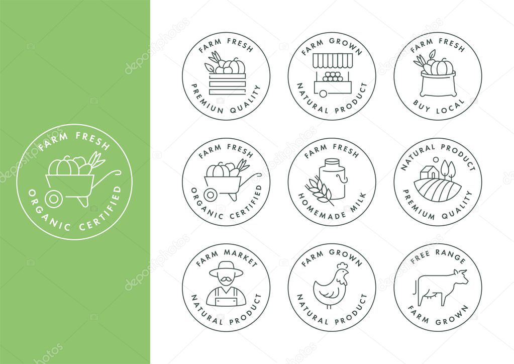Vector set of logos, badges and icons for natural farm and health products. Collection symbol of localy grown and organic food