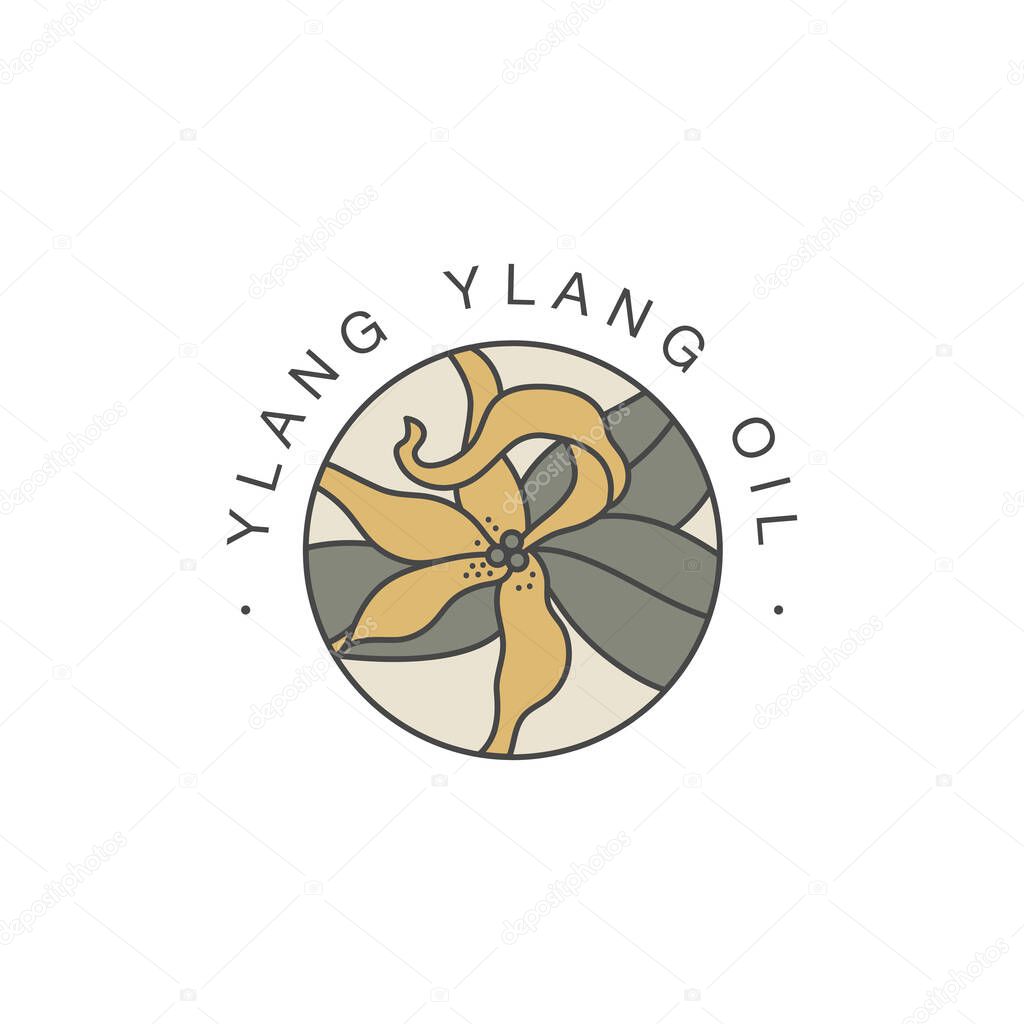 Vector design template and emblem - healthy and cosmetics oil. Ylang ylang natural, organic oil. Colorful logo in trendy linear style.