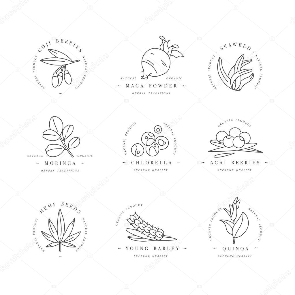 Superfoods line vector icons. Berries, powder, vegetables or fruits and seeds. Organic superfoods for health and diet. Detox and weightloss supplements.
