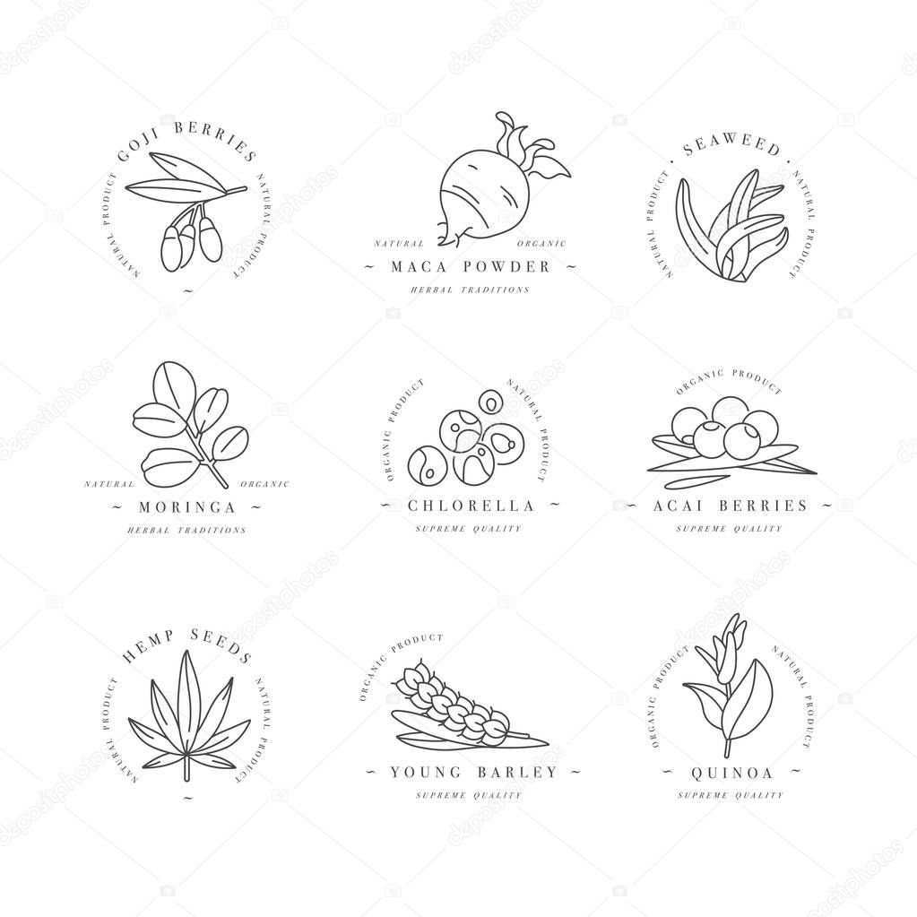 Superfoods line vector icons. Berries, powder, vegetables or fruits and seeds. Organic superfoods for health and diet. Detox and weightloss supplements