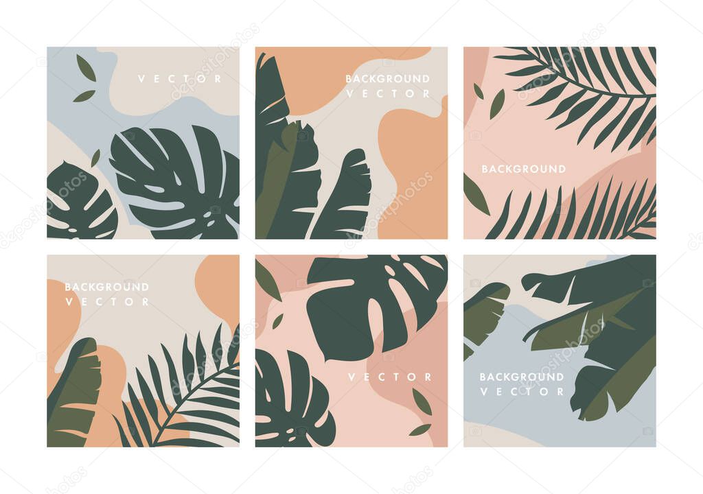 Vector set design colorful jungle templates backgrounds - social media story wallpapers. Can be used like banners, posters, cover design templates