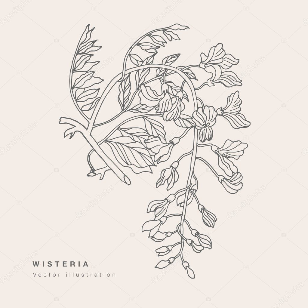 Hand draw vector wisteria flowers illustration. Floral wreath. Botanical floral card on white background